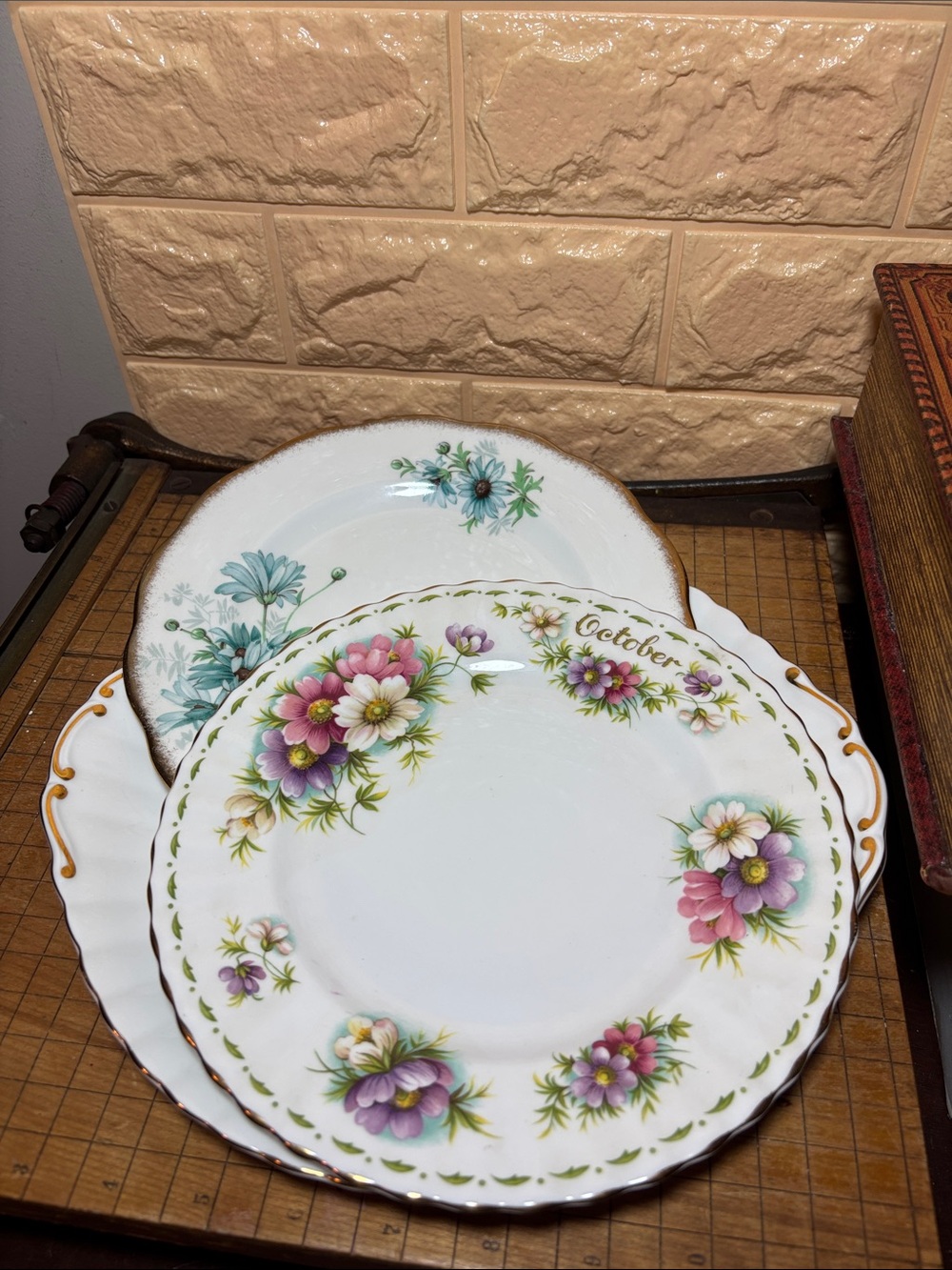3 Royal Albert Plates with October Cosmos Flower, Scalloped Bone, Marguerite